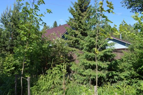 Фотография гостевого дома Гостевой Дом у Четырех Озер