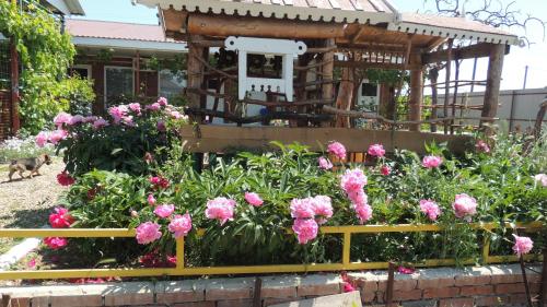 Фотография гостевого дома Золотая Рыбка