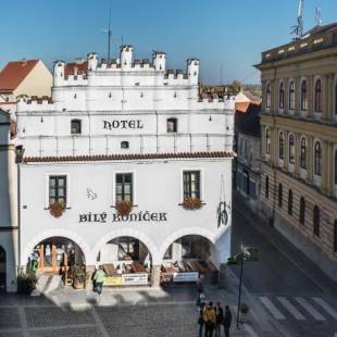 Фотографии гостиницы 
            Hotel Bílý Koníček