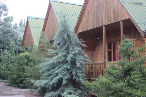 Фотография базы отдыха АльТаир