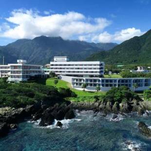 Фотографии гостиницы 
            THE HOTEL YAKUSHIMA ocean & forest