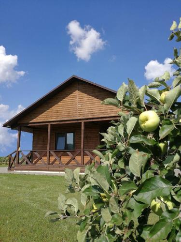 Фотография гостевого дома В Чуденичи