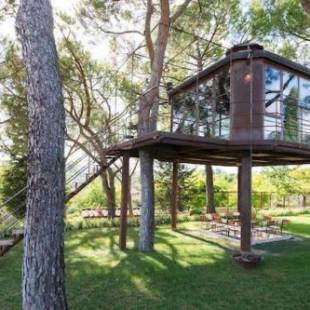 Фотографии гостевого дома 
            Cabaña treehouse Mountain View