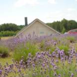 Фотография кемпинга Lavender Village