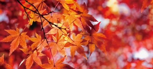 Фотография гостиницы Wulai Town House