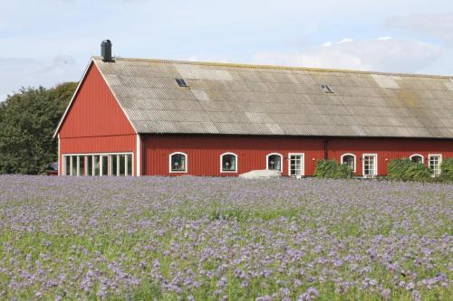 Фотография гостиницы Ramsjögård Hotell