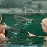 Фотография гостиницы Spreewelten Hotel