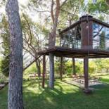 Фотография гостевого дома Cabaña treehouse Mountain View