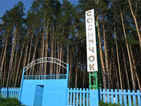 Фотография гостиницы Соснячок