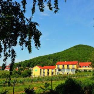 Фотографии гостиницы 
            Wohlfühlhotel Alte Rebschule