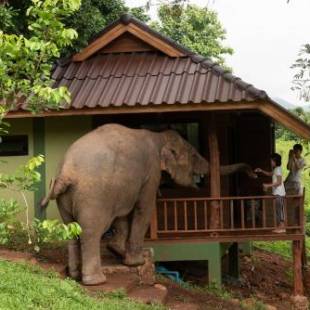 Фотографии гостиницы 
            Chiang Mai Elephant Friends