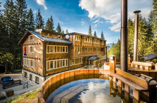 Фотографии гостиницы 
            Hotel Björnson Jasná & Björnson TREE HOUSES