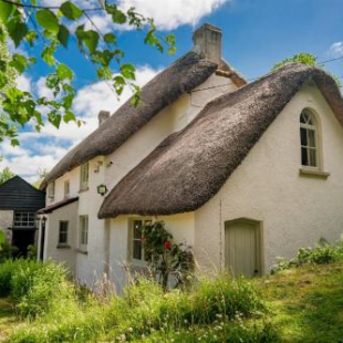 Фотография гостевого дома Weeke Brook - Quintessential thatched luxury Devon cottage