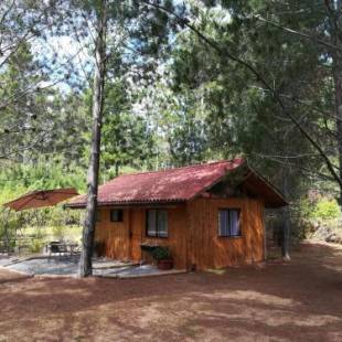 Фотографии гостевого дома 
            Eco Cabañas Algarrobo