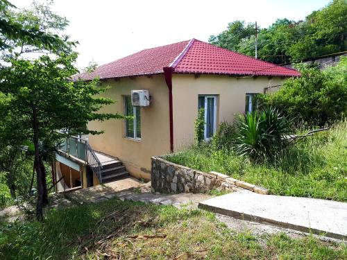 Фотография хостела Guest house IULIA