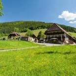 Фотография гостиницы Landgasthaus Grüner Baum