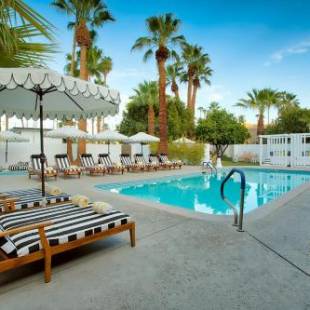 Фотографии гостиницы 
            Dive Palm Springs