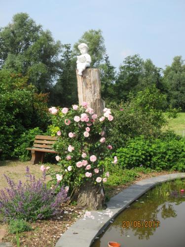 Фотография гостиницы Landhotel Belitz Garni