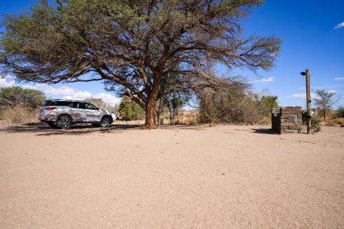 Фотографии кемпинга 
            Canyon Roadhouse Campsite