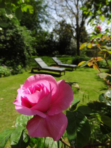 Фотография гостевого дома Le Clos du Mont Jarry