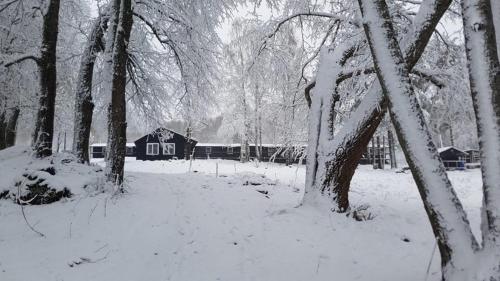 Фотографии кемпинга 
            У Рауталахти