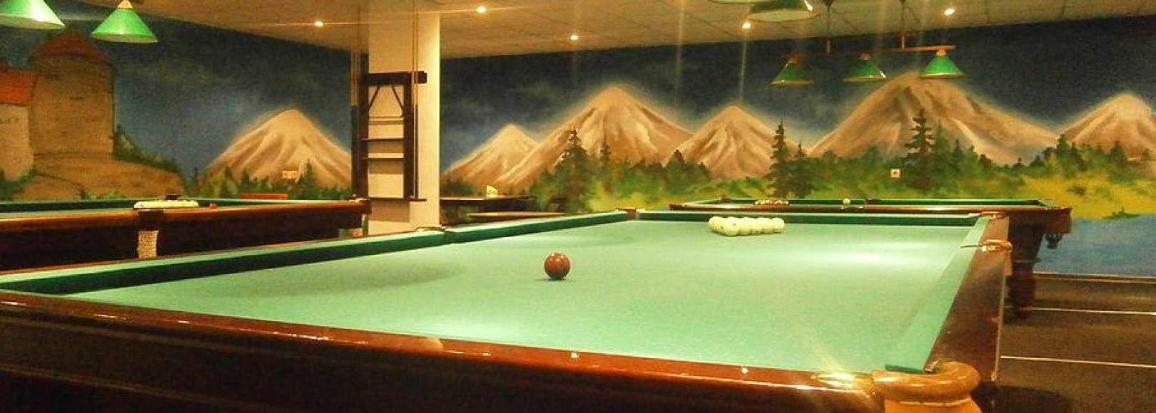 Фотография бильярда Удача