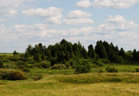 Погода в агапино