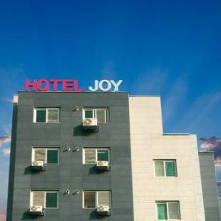 Фотографии гостиницы 
            Hotel Joy