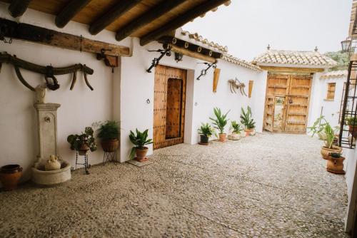 Фотография гостевого дома Cortijo Rural Majolero