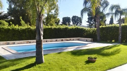 Фотография мини отеля B&B Albero Del Miglio