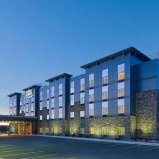 Фотографии гостиницы 
            Four Points by Sheraton Williston