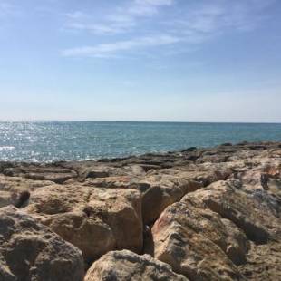 Фотографии гостевого дома
La Casita Blanca