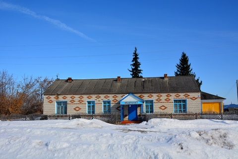 Курганская область шатровский. Камышевка Курганская область Шатровский район. Курганская область Шатровский район деревня камышевка. Деревня камышевка Шатровский район. Деревня Дружинино Курганская область Шатровский район.