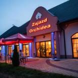 Фотография мини отеля Zajazd Orchidea - Hotel 24h