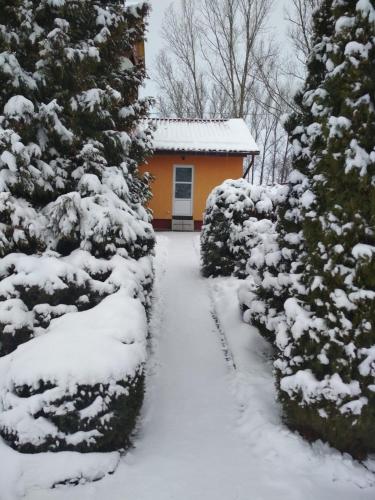 Фотография гостевого дома Цветочный рай