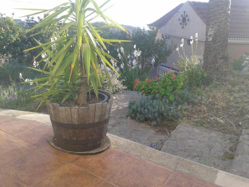 Фотография гостевого дома Pensión Amparo Las Hayas