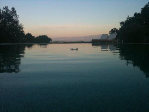 Фотография гостевого дома Sos Ferres D'en Morey