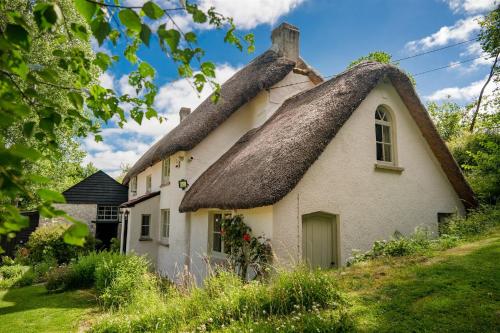 Фотографии гостевого дома 
            Weeke Brook - Quintessential thatched luxury Devon cottage