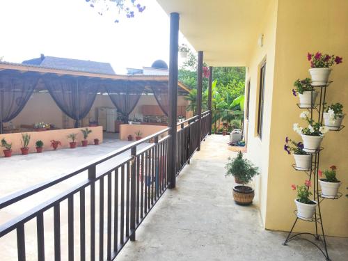 Фотография гостевого дома Зефир