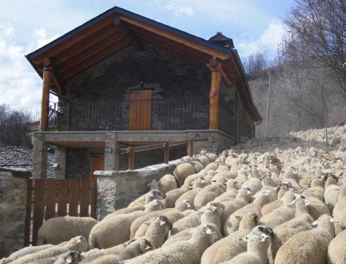 Фотографии гостевого дома 
            La Cabanya de Cal Forn de Serrat