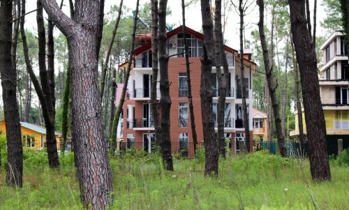 Фотография гостиницы ГиНа Шекветили