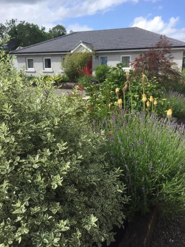 Фотография гостевого дома Kilcloon Self Catering Cottages & Studios