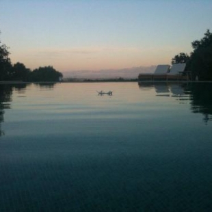 Фотография гостевого дома Sos Ferres D'en Morey