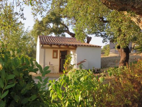 Фотографии гостевого дома 
            QUINTA DO BARRANQUINHO by Stay in Alentejo