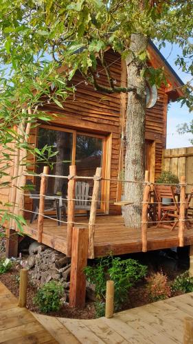 Фотография гостевого дома Kabanéo - gîte et sauna- Samois sur Seine - Forêt de Fontainebleau