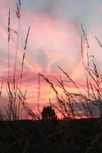 Фотография гостевого дома Деревенский отдых