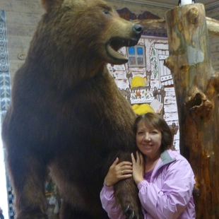 Фотография музея Музей бурого медведя