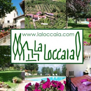 Фотография мини отеля B&B La Loccaia