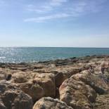 Фотография гостевого дома La Casita Blanca