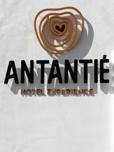 Фотография гостиницы Hotel Antantie